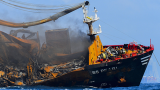 Smoldering Ship Leaking Billions of Plastic Pellets Sinks off Sri Lanka